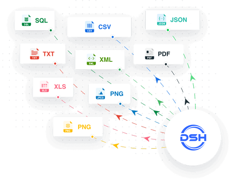 Customizable data formats